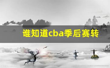 cba季后赛什么赛制-谁知道cba季后赛转播吗