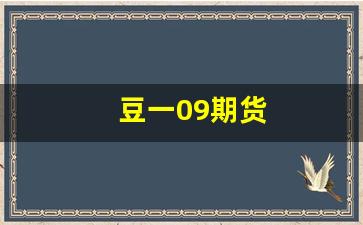 豆一09期货(期货豆粕2409)_https://www.xzdzcjn.com_创业板_第1张