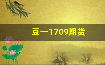豆一1709期货(豆一2109期货)_https://www.xzdzcjx.com_创业板_第1张