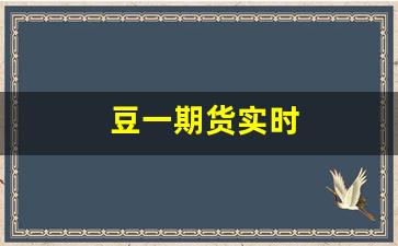 豆一期货实时(期货豆一是什么品种)_https://www.wanyuyiyao.com_创业板_第1张