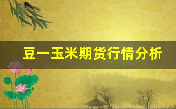 豆一玉米期货行情分析(豆拍期货行情分析)_https://www.hbxfywj.com_股票知识_第1张