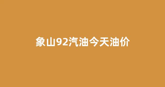 象山92汽油今天油价_象山92汽油今天油价多少