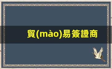 貿(mào)易簽證商務(wù)簽證(商務(wù)簽證的作用)