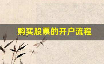 购买股票的开户流程(购买股票怎么开户)_https://www.heiljjianzu.com_北交所_第1张