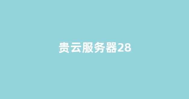 贵云服务器28(云上贵州服务器存放的什么)-百变无痕