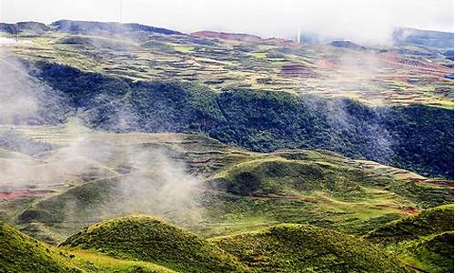 贵州乌蒙大草原天气预报15天_贵州乌蒙大