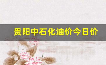 贵阳中石化油价今日价格是多少-贵阳中石化油库价格
