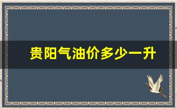 今天贵阳汽油价格多少钱一升-贵阳气油价多少一升