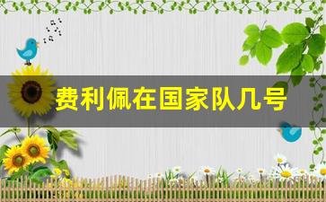 费利佩在国家队几号-费利佩fm