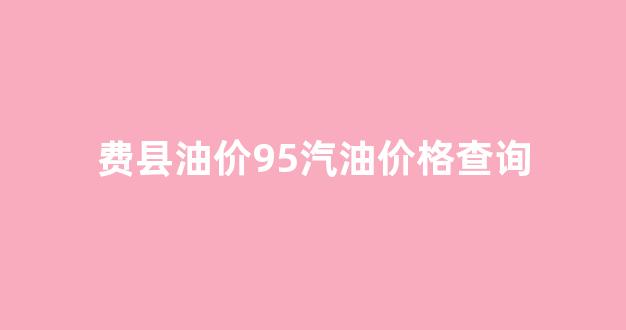 费县油价95汽油价格查询_费县油价92汽油价格