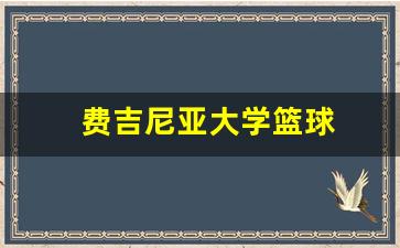 费吉尼亚大学篮球-弗吉尼亚大学篮球校友
