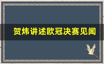 贺炜讲述欧冠决赛见闻-贺炜还解说足球吗