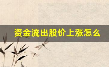 资金流出股价上涨怎么回事(股票资金净流出为什么还上涨)_https://www.heiljjianzu.com_北交所_第1张