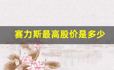 赛力斯最高股价是多少钱(赛力斯估值)_https://www.taocizhiliang.com_设计报价_第1张