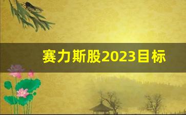 赛力斯股2023目标价(赛力斯股票代码是多少)_https://www.wguangz.com_郑商所_第1张