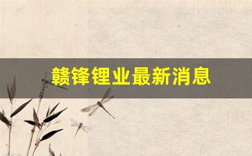 赣锋锂业最新消息(002460赣锋锂业最新消息)_https://www.hhem8.com_深交所_第1张
