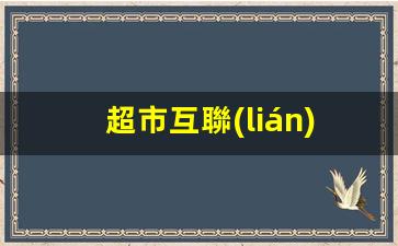 超市互聯(lián)網(wǎng)運營(yíng)模式插圖