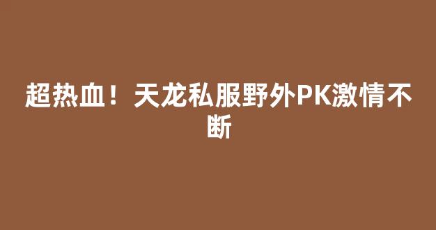 超热血！天龙私服野外PK激情不断
