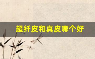 超纤皮和真皮哪个好(超纤皮和二层牛皮哪个好)_https://www.wguangz.com_广期所_第1张