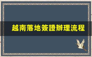越南旅游落地簽證辦理全攻略，流程詳解及費(fèi)用一覽