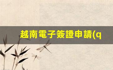 越南電子簽證申請(qǐng)官網(wǎng)(越南電子簽證申請(qǐng)官網(wǎng)下載安裝)