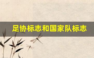 足协标志和国家队标志-国家足球队标志