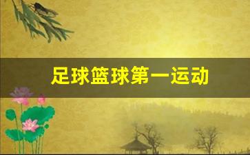 足球篮球世界第一运动-足球篮球第一运动