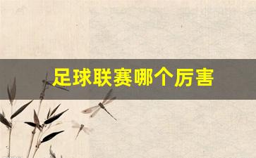 足球联赛哪个厉害-那个足球联赛好
