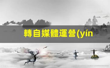 轉自媒體運營(yíng)插圖