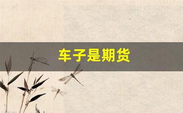 车子是期货(汽车销售说的期货是什么意思)_https://www.fzdzcxj.com_北交所_第1张