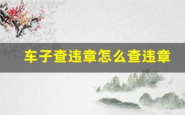 车子查违章怎么查违章查询不了_车子查违章怎么查违章查询