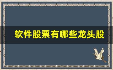 软件股票有哪些龙头股(软件龙头股票有哪些2021)_https://www.qldgs.com_内盘期货_第1张
