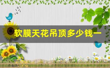 ﻿软膜天花吊顶多少钱一平方(图1)