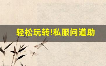 轻松玩转!私服问道助你成就修真大侠(问道修仙怎么修)