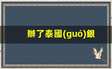 辦了泰國(guó)銀行卡怎么取錢(qián)(去泰國(guó)銀行卡可以用嗎)