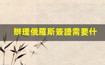 辦理俄羅斯簽證需要什么條件和材料和手續(xù)(辦理俄羅斯簽證需要什么資料)