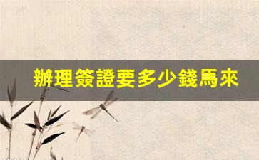 辦理簽證要多少錢馬來西亞(申請簽證馬來西亞)