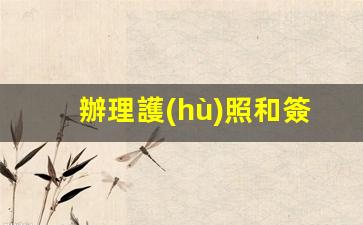 詳細(xì)攻略，辦理護(hù)照與簽證必備條件及流程解析