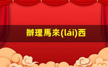 辦理馬來(lái)西亞個(gè)人簽證(辦理馬來(lái)西亞護(hù)照需要多少錢(qián))