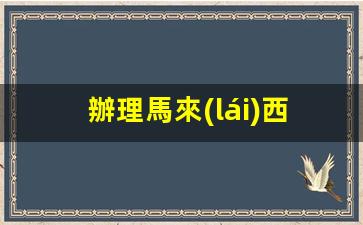 辦理馬來(lái)西亞團(tuán)隊(duì)簽證材料(馬來(lái)西亞簽證辦理需要什么材料)