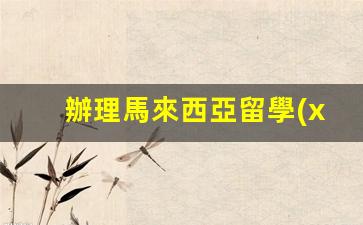 辦理馬來西亞留學(xué)簽證費(fèi)(辦理馬來西亞留學(xué)簽證費(fèi)多少錢)
