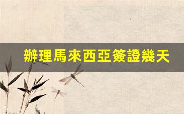 馬來西亞簽證辦理時(shí)間揭秘，申請(qǐng)速度解析，幾天內(nèi)可拿到簽證？