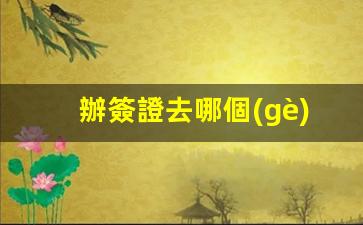 辦簽證去哪個(gè)部門(初次出國簽證怎么辦理)