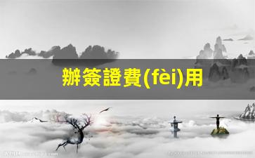 辦簽證費(fèi)用多少錢(qián)柬埔寨工作證(柬埔寨工作簽證是什么樣子的)