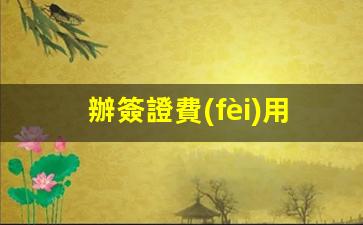 辦簽證費(fèi)用多少錢2025年(辦簽證費(fèi)用多少錢2025年8月)
