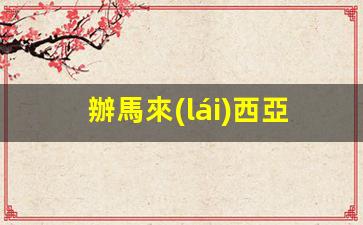 辦馬來(lái)西亞留學(xué)簽證費(fèi)用(辦馬來(lái)西亞留學(xué)簽證費(fèi)用多少)