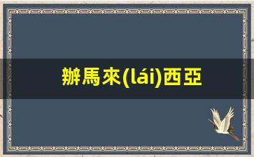 辦馬來(lái)西亞電子簽證需要什么(馬來(lái)西亞簽證是電子簽還是貼紙簽好)