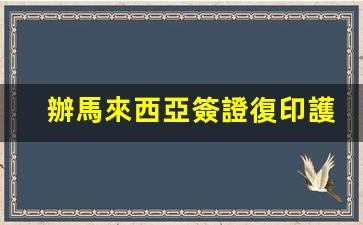 辦馬來西亞簽證復印護照(馬來西亞簽證對照片的要求)