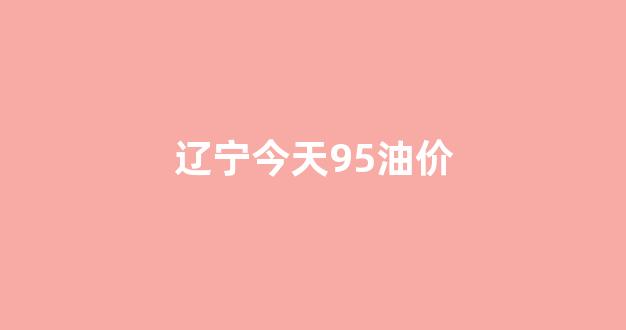 辽宁省95号汽油油价_辽宁今天95油价