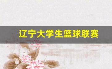 辽宁大学生篮球联赛-辽宁省大学生篮球赛